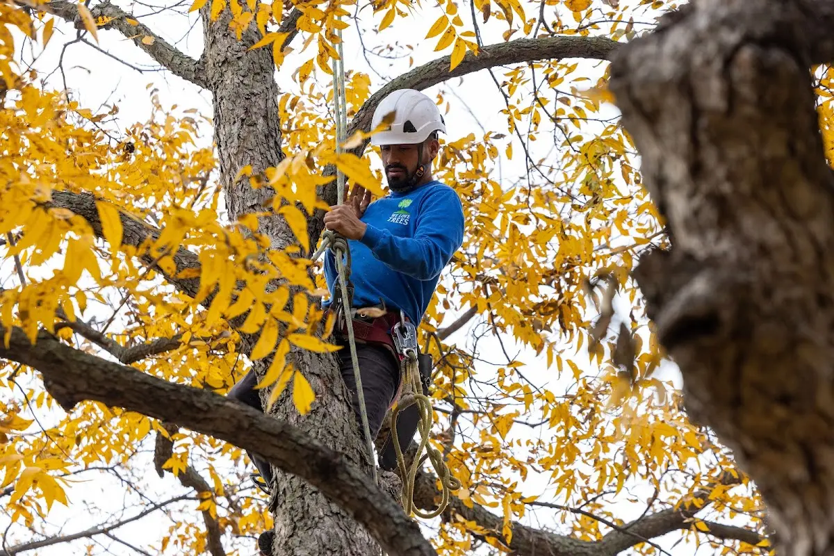 Skilled Storm Damage Cleanup crew working in Emory