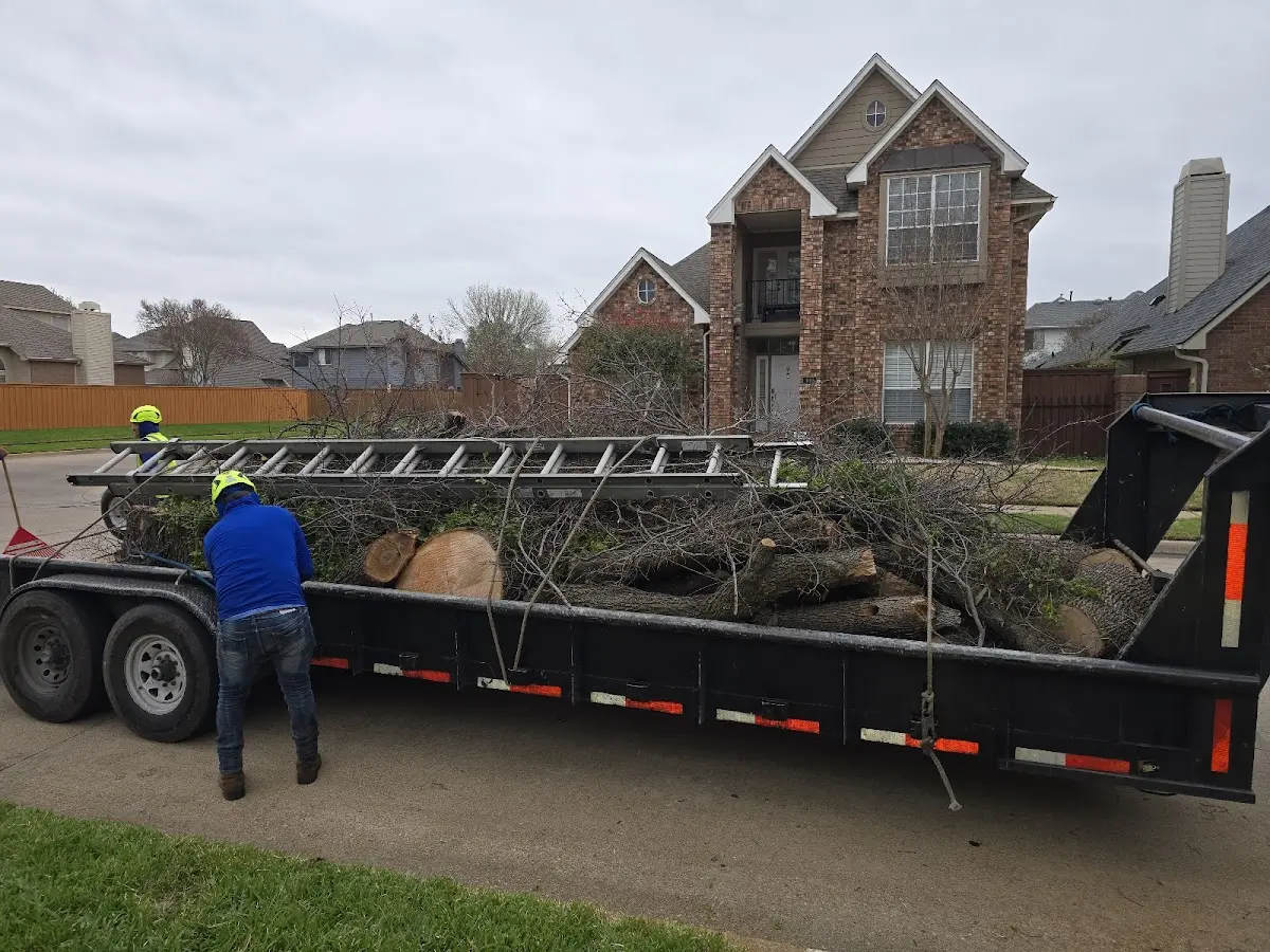 Expert Tree Pest Control with proper safety equipment in Emory